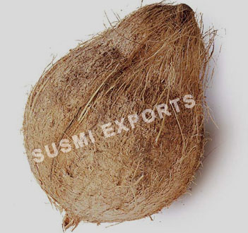 Coconut Exporters in Tamilnadu