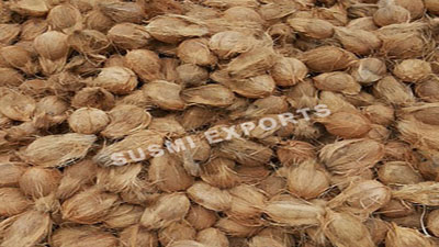 Coconut Exporters in Tamilnadu