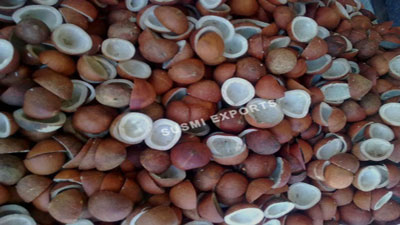 Coconut Exporters in Pollachi