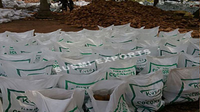 Coconut Exporters in India