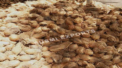 Coconut Exporters in Tamilnadu