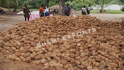 Coconut Exporters in India