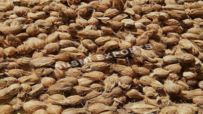 Coconut Exporters in Tamilnadu